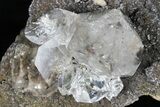 Huge Herkimer Diamond on Sparkling, Druzy Quartz - New York #175392-4